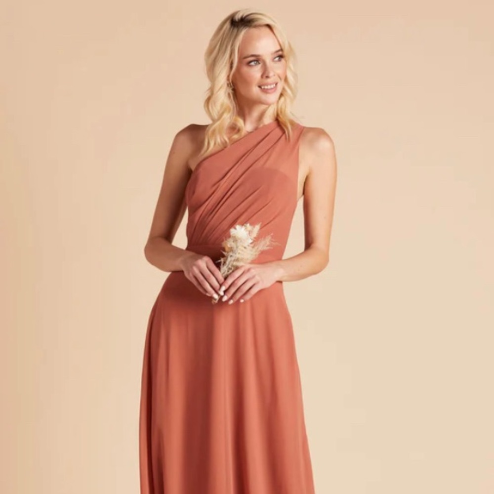 Birdy Grey Kira Dress- Chiffon Terracotta